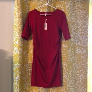 NWT PinkBlush Red maternity dress